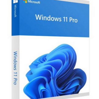 Microsoft Windows 11 Professional